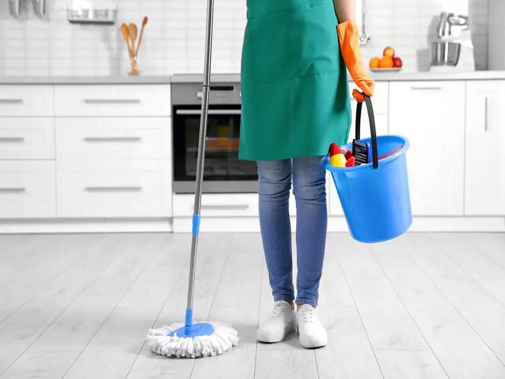 Ev Temizliği